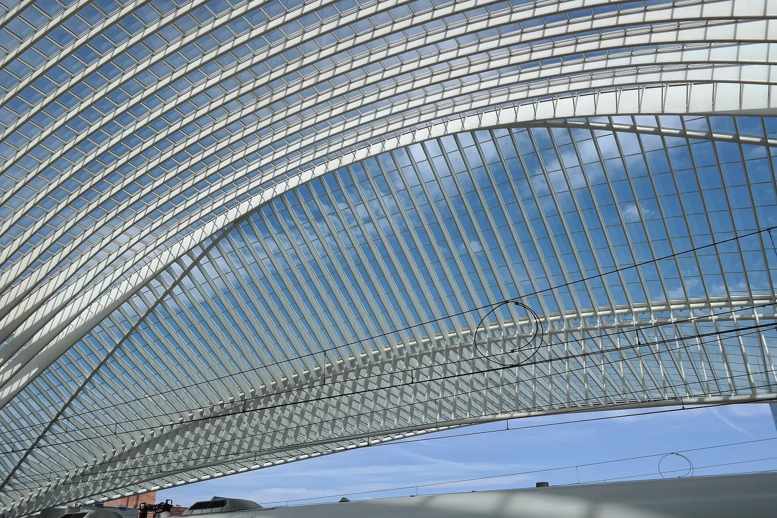 Liège-Guillemins railway station roof